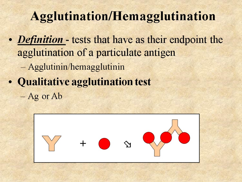 Agglutination/Hemagglutination Definition - tests that have as their endpoint the agglutination of a particulate